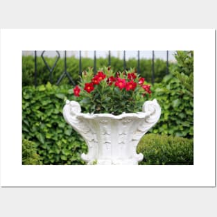 White Marble Floral Planter Posters and Art